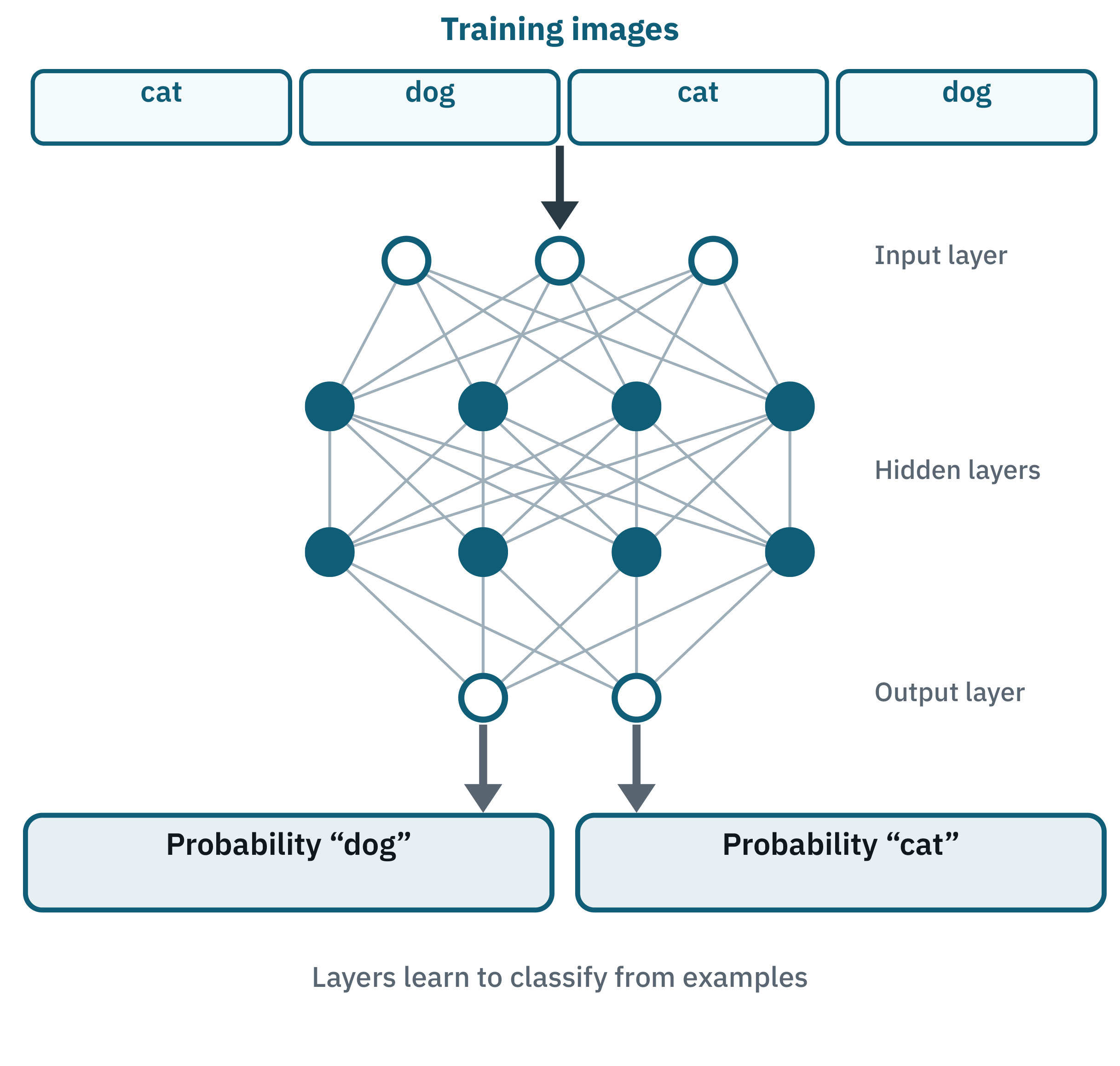 Diagram of a neural network classifying images of cats and dogs