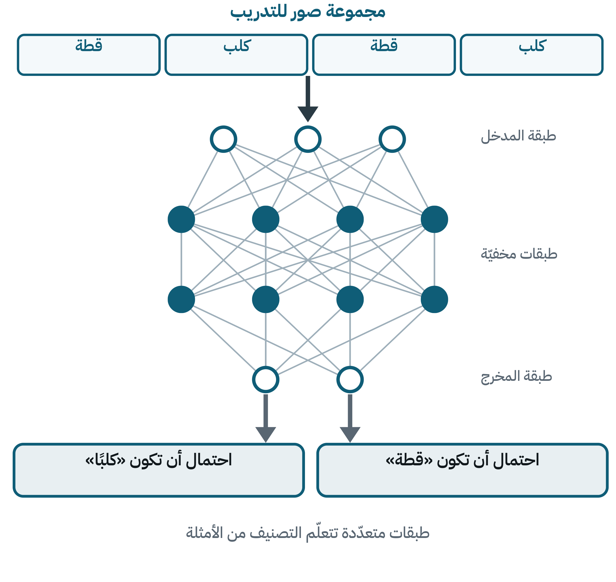 مخطط شبكة عصبية: صور قطط وكلاب تدخل من الأعلى، تمرّ عبر طبقة مدخل وطبقتين مخفيّتين وطبقة مخرج، فتنتج احتمالين